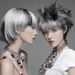couleur cheveux gris