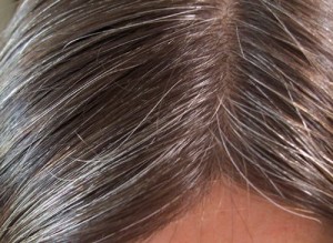 coloration cheveux blancs henne