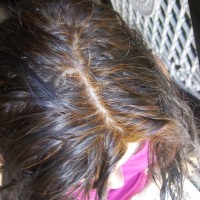 coloration cheveux blancs henne