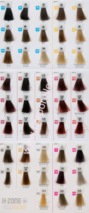 couleur cheveux palette