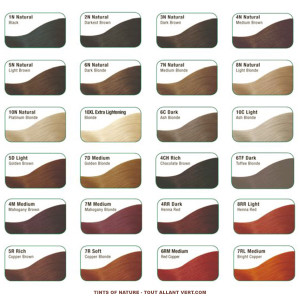 couleur cheveux palette